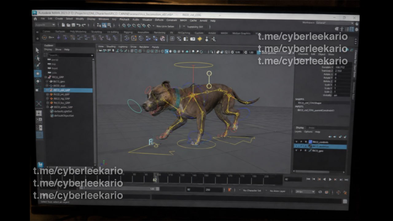 Dog Leak 4