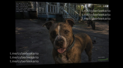 Dog Leak 1